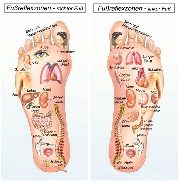 Furßreflexzonen-Karte